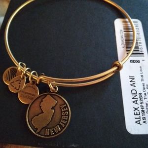 Alex and Ani bracelet